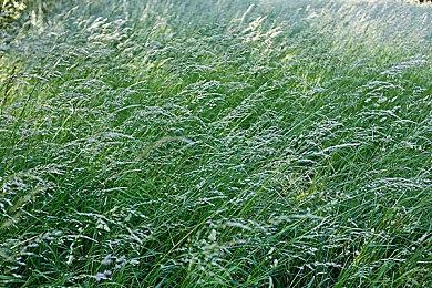 育碧发布《孤岛惊魂6》剧情CG动画小奇快跑